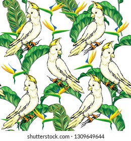 Tropical leaves with parrot cockatoo seamless pattern on a white background