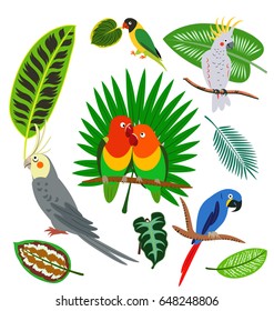 tropical leaves and parrots set 