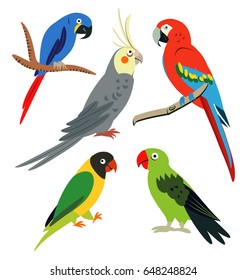 tropical leaves and parrots set 