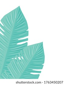 tropical leaves pastel color on white background vector illustration design