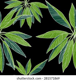 Tropical leaves pattern