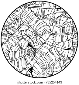 Tropical Leaves Pattern in Circle. Exotic Palm Leaves Background. Hand Drawn Black and White illustration.