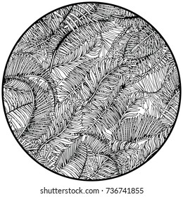 Tropical Leaves Pattern in Circle. Exotic Palm Leaves Background. Hand Drawn Black and White illustration.