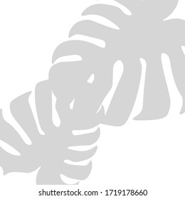 Mano del patrón de hojas tropicales. Pintura de Doodle de Planta. La manta de la palma natural. Trama de hojas tropicales de fondo trazado. Verde jungla de jardín 
