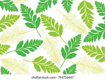 Tropical leaves pattern.- Illustration
Tree, Plant, Rain forest, Summer, fern