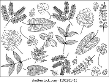 Tropical leaves pattern on white background