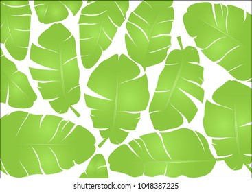 Tropical leaves pattern. Summer background. Refreshing background.- Banana, Tree, Plant, Rain forest, banana 