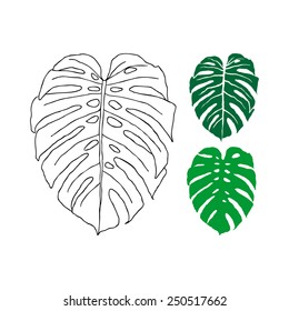 Tropical leaves - Philodendron. Hand drawn seamless background. vector
