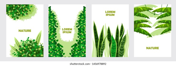Tropical leaves. Plants and bushes. Set of templates for banners, invitations, flyers, cards, covers, posters. Cartoon flat illustration. Vector art.