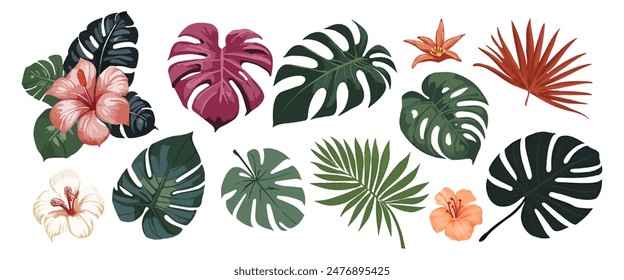 Tropical leaves, plants. Vector modern floral illustrations of tropic print, palm leaf, monstera.