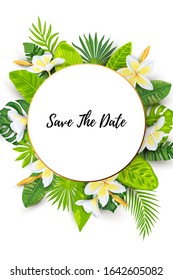 Tropical leaves and plumeria flower vector illustration. Place for text. Seasonal template for summer sale, vacation, poster, SPA flyer, beauty offer, invitation, baby shower, wedding, bridal shower.