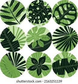 Tropical  leaves in polka dots.  Exotic summer botanical seamless pattern. Can be used in textile industry, paper, background, scrapbooking.Vector.