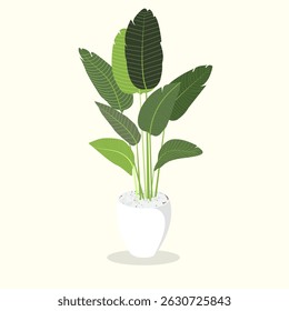 tropical leaves, potted indoor plant on white background, used for home decor posters, botanical-themed designs, or eco friendly lifestyle promotional materials.