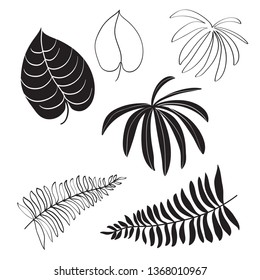 Tropical leaves, power and linear image set. Hand drawn unique tropical leaves, monstera, date palm, coconut palm, banana palm. Isolated black silhouette of exotic leaves on a white background.Set 2