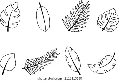 Hojas tropicales, potencia e imagen lineal. Hojas tropicales únicas dibujadas a mano, monstera, palma datilera, palma de coco, palmera de plátano. hojas exóticas sobre un fondo blanco. conjunto de iconos de línea