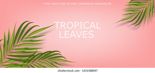 Tropical leaves realistic isolated, pink background, summer banner vector illustration