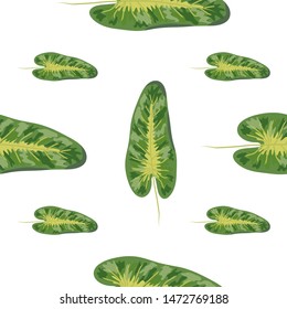 Tropical leaves realistic seamless pattern. Hawaiian exotic background with tropical plants.