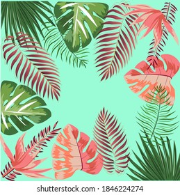 tropical leaves of red and green color background