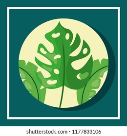 tropical leaves round banner monstera foliage