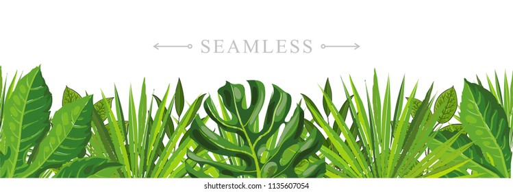 Tropical leaves seamless pattern border frame with space for text. Hand drawn sketch monstera, palm and fern floral decoration for fabric, textile or graphic design. Summer jungle vector background.
