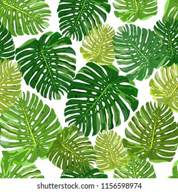 Tropical leaves seamless pattern colorful isolated hand drawn plants vector illustration