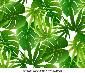 Tropical leaves seamless pattern. Floral jungle background. Vector illustration