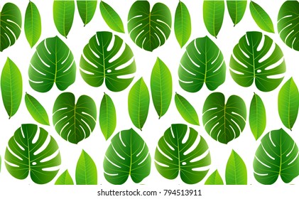 Tropical leaves seamless pattern. Floral jungle background. Vector illustration