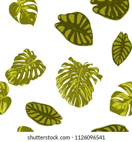 Tropical Leaves. Seamless Pattern with Hand Drawn Leaves of Monstera and Alocasia. Exotic Rapport for Textile, Fabric. Vector Seamless Background with Tropic Plants. Jungle Foliage. Watercolor Effect.