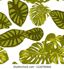 Tropical Leaves. Seamless Pattern with Hand Drawn Leaves of Monstera and Alocasia. Exotic Rapport for Textile, Fabric. Vector Seamless Background with Tropic Plants. Jungle Foliage. Watercolor Effect.
