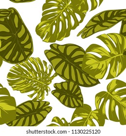 Tropical Leaves. Seamless Pattern with Hand Drawn Leaves of Monstera and Alocasia. Exotic Rapport for Textile, Fabric. Vector Seamless Background with Tropic Plants. Jungle Foliage. Watercolor Effect.