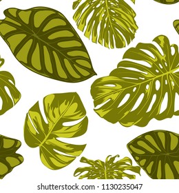 Tropical Leaves. Seamless Pattern with Hand Drawn Leaves of Monstera and Alocasia. Exotic Rapport for Textile, Fabric. Vector Seamless Background with Tropic Plants. Jungle Foliage. Watercolor Effect.