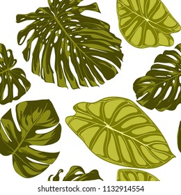 Tropical Leaves. Seamless Pattern with Hand Drawn Leaves of Monstera and Alocasia. Exotic Rapport for Textile, Fabric. Vector Seamless Background with Tropic Plants. Jungle Foliage. Watercolor Effect.
