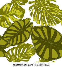 Tropical Leaves. Seamless Pattern with Hand Drawn Leaves of Monstera and Alocasia. Exotic Rapport for Textile, Fabric. Vector Seamless Background with Tropic Plants. Jungle Foliage. Watercolor Effect.