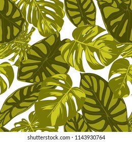 Tropical Leaves. Seamless Pattern with Hand Drawn Leaves of Monstera and Alocasia. Exotic Rapport for Textile, Fabric. Vector Seamless Background with Tropic Plants. Jungle Foliage.