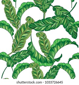 Tropical leaves seamless pattern on a white background