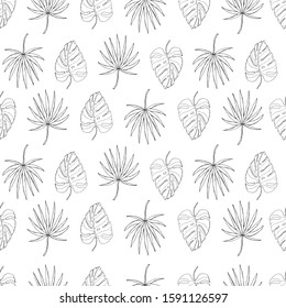 tropical leaves seamless pattern on white background. Monstera leaf vector and fan palm leaf 