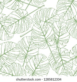 Tropical leaves seamless pattern. Palm monstera branch vector illustration.