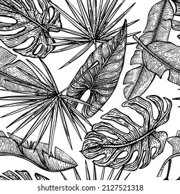 Tropical leaves seamless pattern. Vintage foliage banana, monstera,fan palm in engraving style. Hand drawn repeat texture for fabric, wallpaper, textile, print, wrapping paper. Vector illustration.