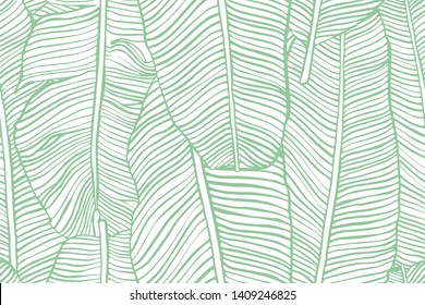 Tropical leaves. Seamless texture with banana leaf. Hand drawn tropic foliage. Exotic green background.