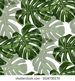 Tropical Leaves. Seamless Texture with Bright Hand Drawn Leaves of Monstera. Bright Rapport for Print, Paper, Swimwear. Vector Seamless Background with Tropic Plants.
