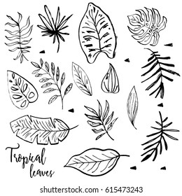 Tropical leaves set