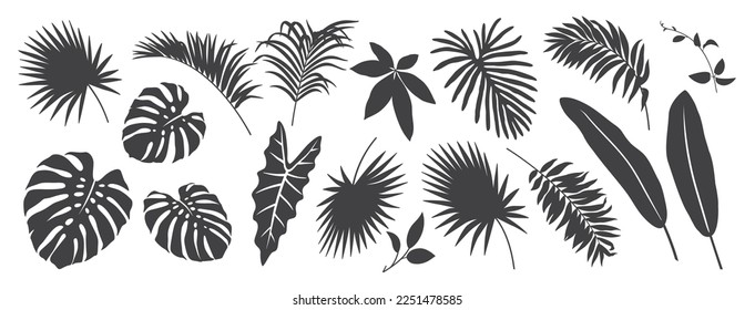 Tropical leaves set. Abstract foliage elements isolated on a white background. Collection of black and white graphic silhouettes. 