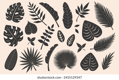 Tropical leaves set. Abstract foliage elements in silhouettes. Monstera, banana tree, palm leaves. Flat Vector illustration isolated on beige background