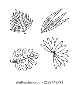 Tropical leaves set. Black line Vector isolated elements. Plant branches, strelitzia, aralia, monstera, banana, coconut, palm leaves.