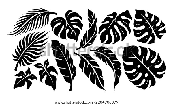 Tropical Leaves Set Collection Exotic Plants Stock Vector (Royalty Free ...