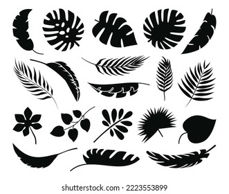 Tropical leaves set. Collection palm leaves silhouettes. Jungle exotic plants leaf. Vector illustration.