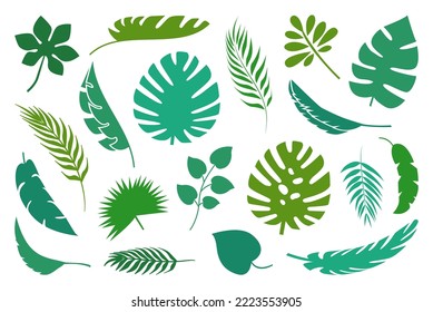 Tropical leaves set. Collection palm leaves silhouettes. Jungle exotic plants leaf. Vector illustration.