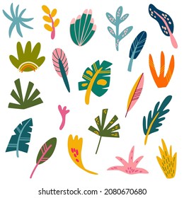 Tropical leaves set. Collection of various abstract tropical leaves. Perfect for the design of postcards, decorations for posters and printing. Vector cartoon hand draw illustration.