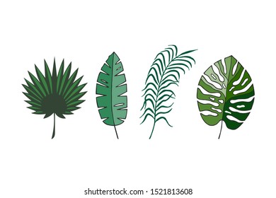  tropical leaves set. eps10 vector illustration. hand drawing. 