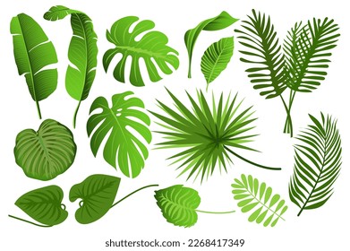 Tropical leaves set graphic elements in flat design. Bundle of different type exotic leaves, green jungle plants, monstera, banana and other botanical branches. Vector illustration isolated objects svg
